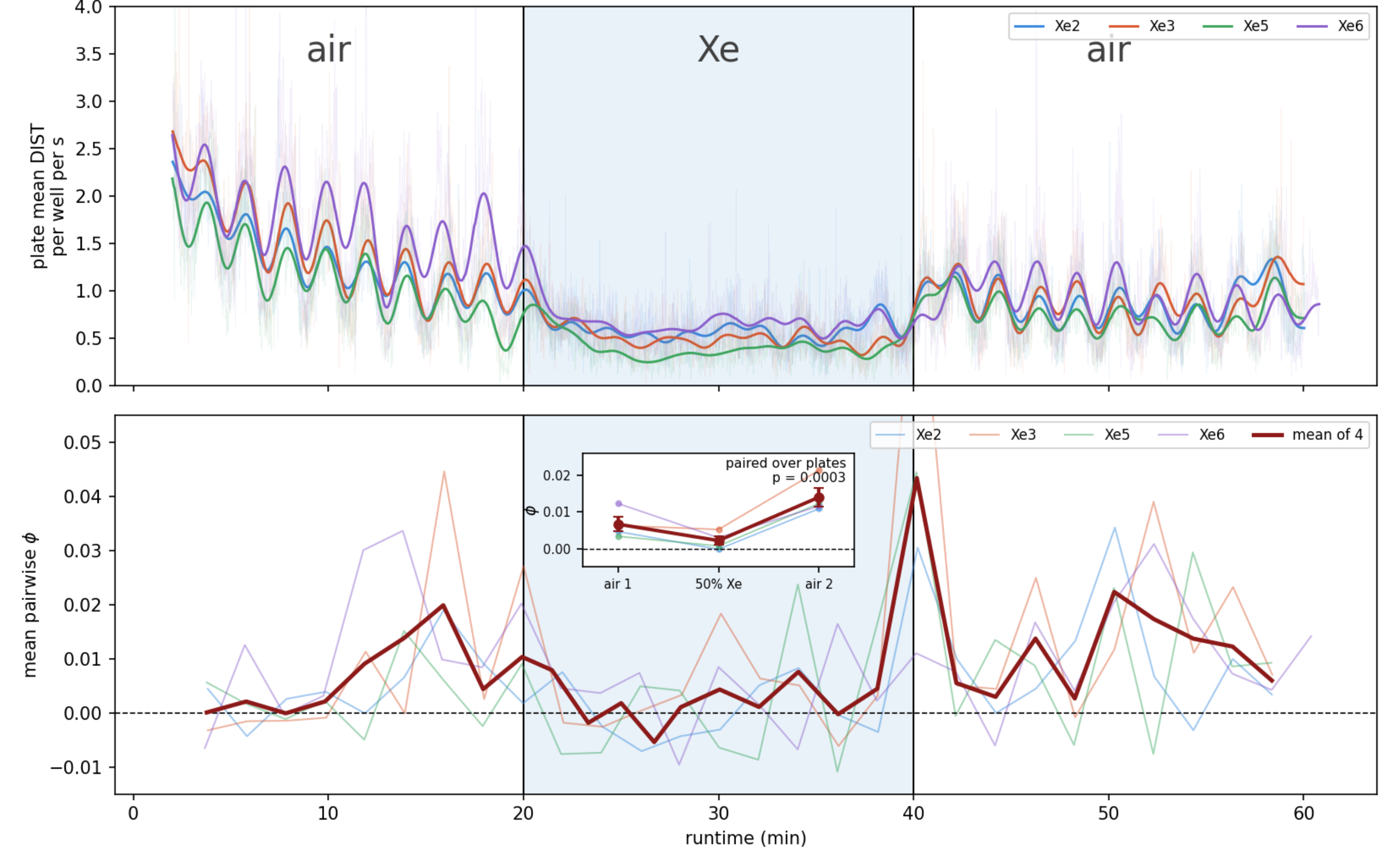 Movement and pairwise coordination across air, xenon exposure and recovery periods in four 48-well plates
